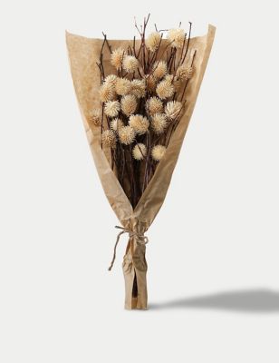 Gallery Home Dried Thistle Bouquet - Natural, Natural