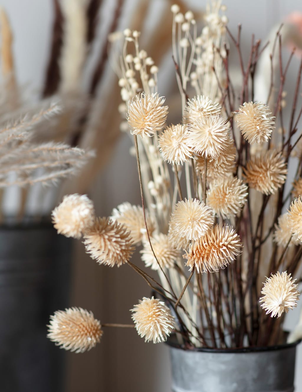 Dried Thistle Bouquet image 2