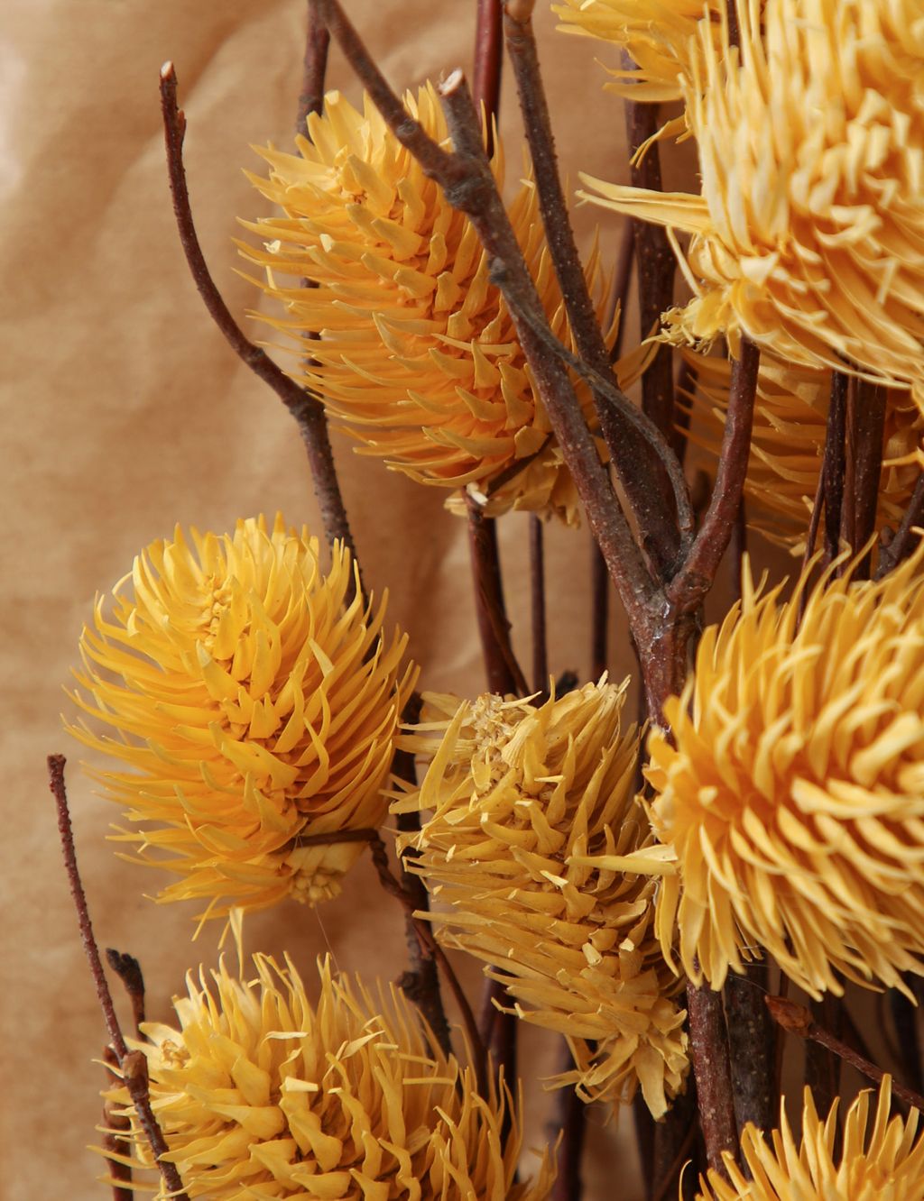 Dried Thistle Bouquet image 2