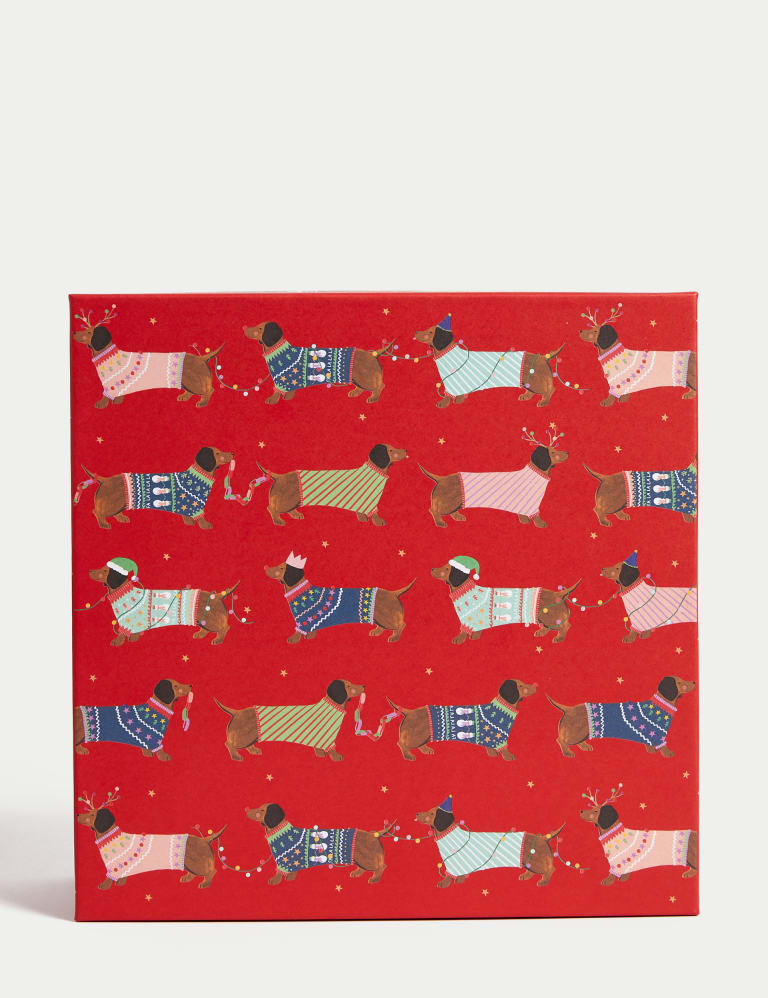 Sausage Dog Christmas Gift Box & Red Tissue Paper Pack M&S