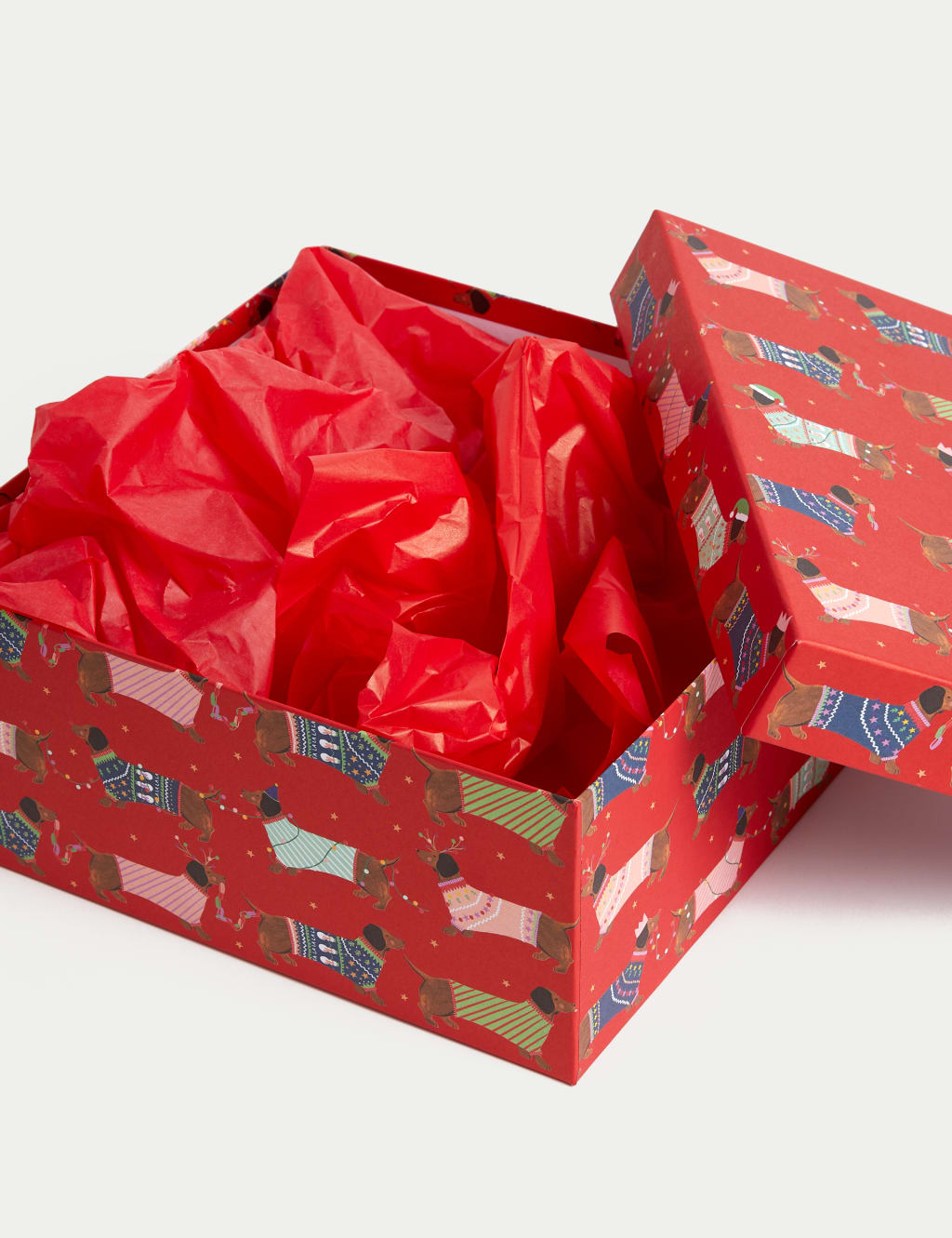 Dog hot sale christmas box