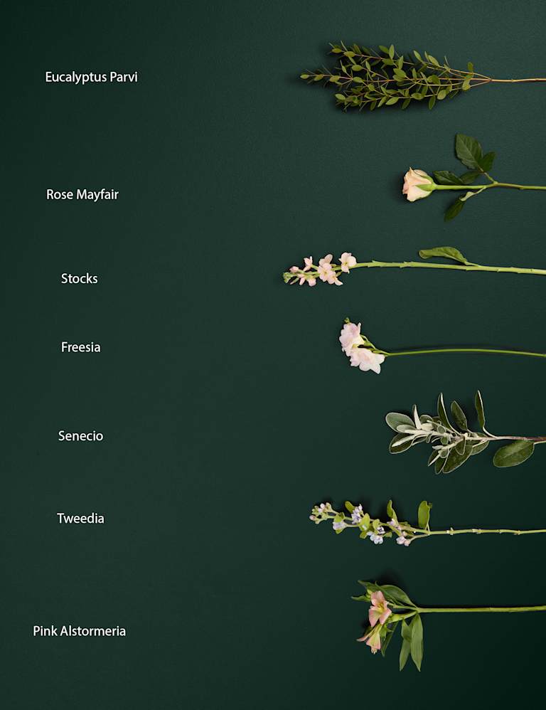 Clarks scent flower store