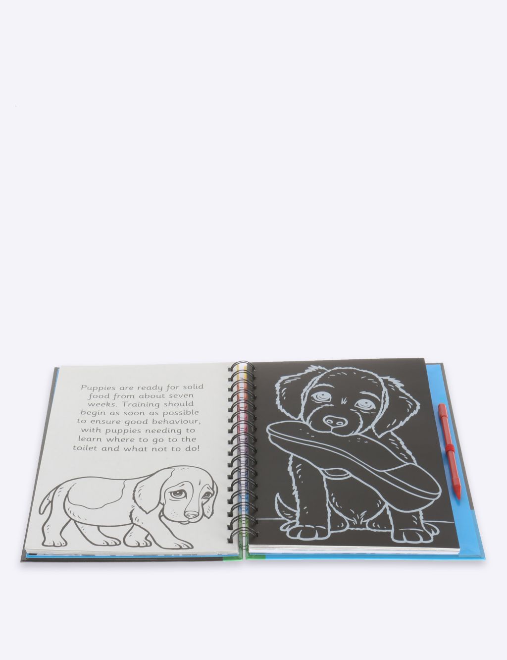 Scratch & Sketch Animals Activity Book 2 of 3