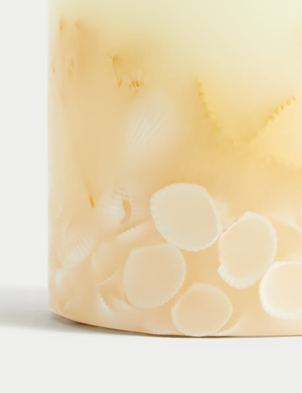 Seashells Scented Candle Library of Scent M&S