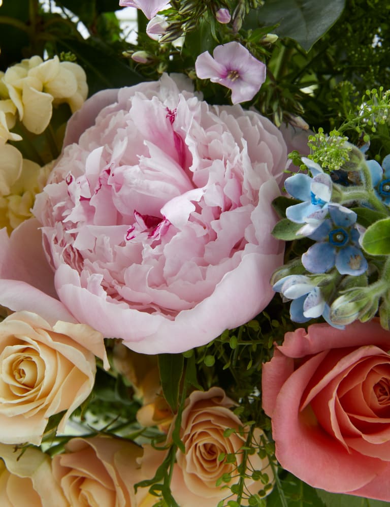 Peonies and roses deals