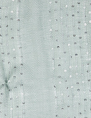 Sequin Embellished Striped Scarf Image 2 of 3