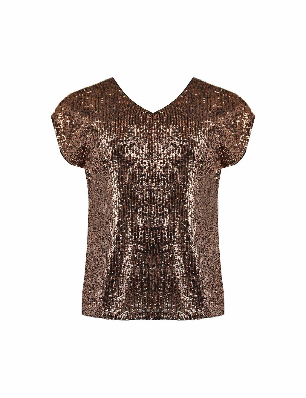 Sequin V-Neck Relaxed T-Shirt 1 of 4