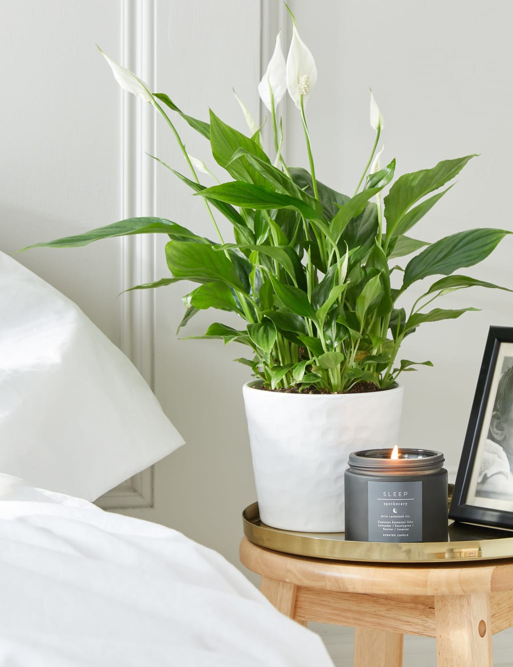 Serenity Peace Lily Gift M&S