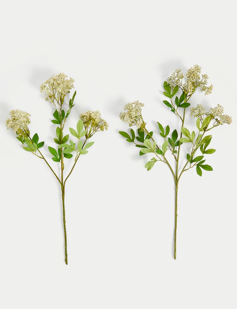 Set of 2 Artificial Cow Parsley Single Stems 1 of 5