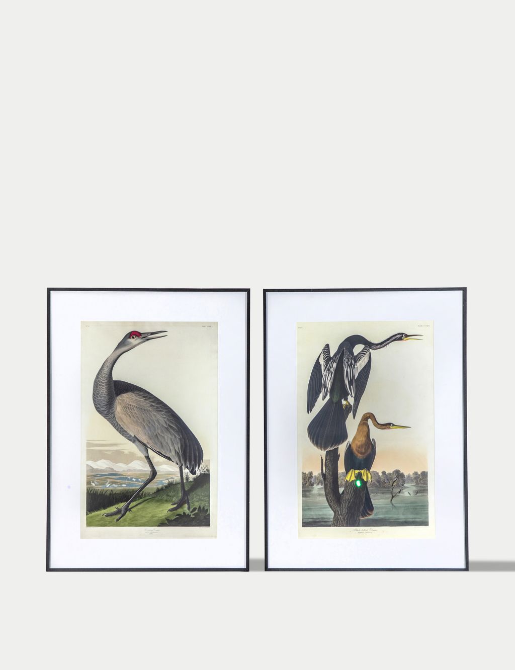 Set of 2 Exotic Fowl Study Rectangle Framed Art 1 of 4