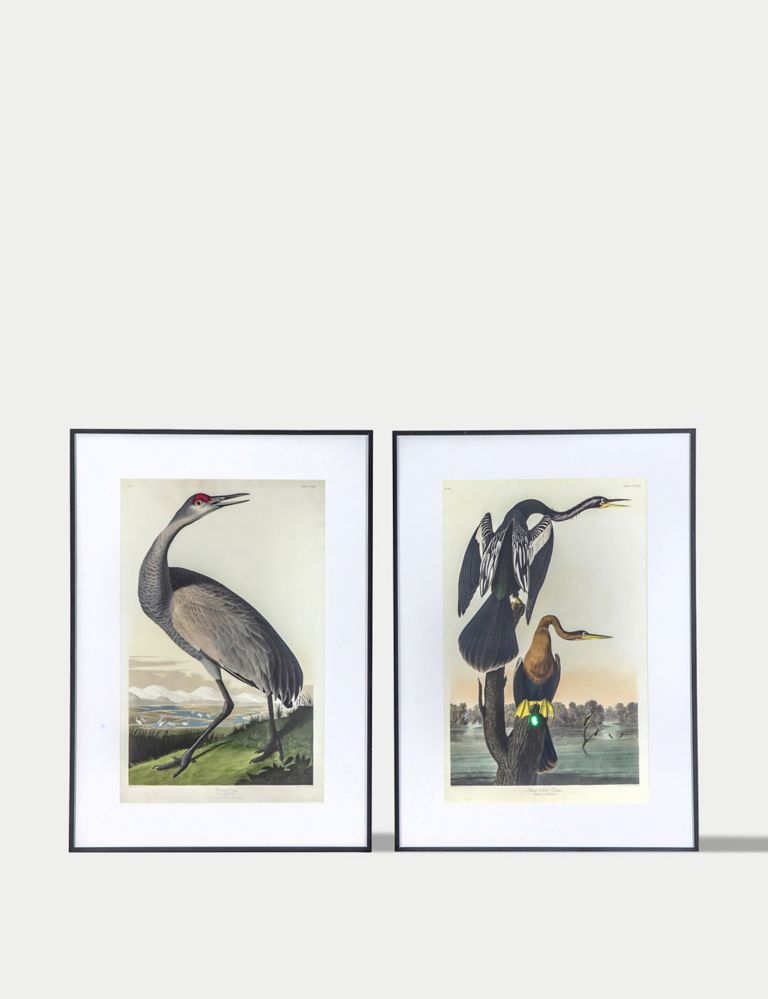 Set of 2 Exotic Fowl Study Rectangle Framed Art 2 of 4