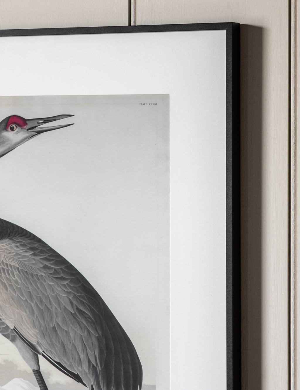 Set of 2 Exotic Fowl Study Rectangle Framed Art | Gallery Home | M&S