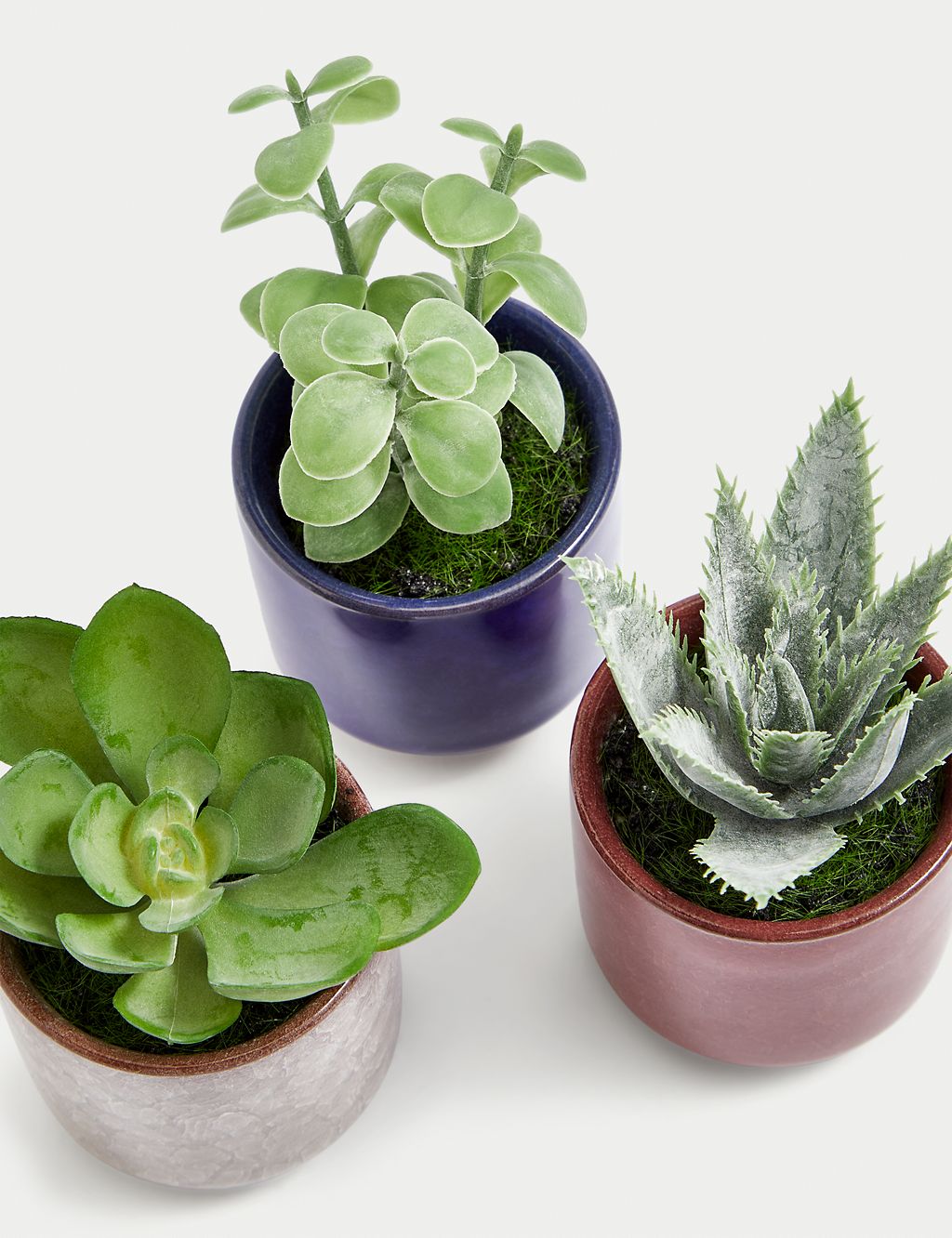 Set of 3 Artificial Mini Succulents in Pots 2 of 5