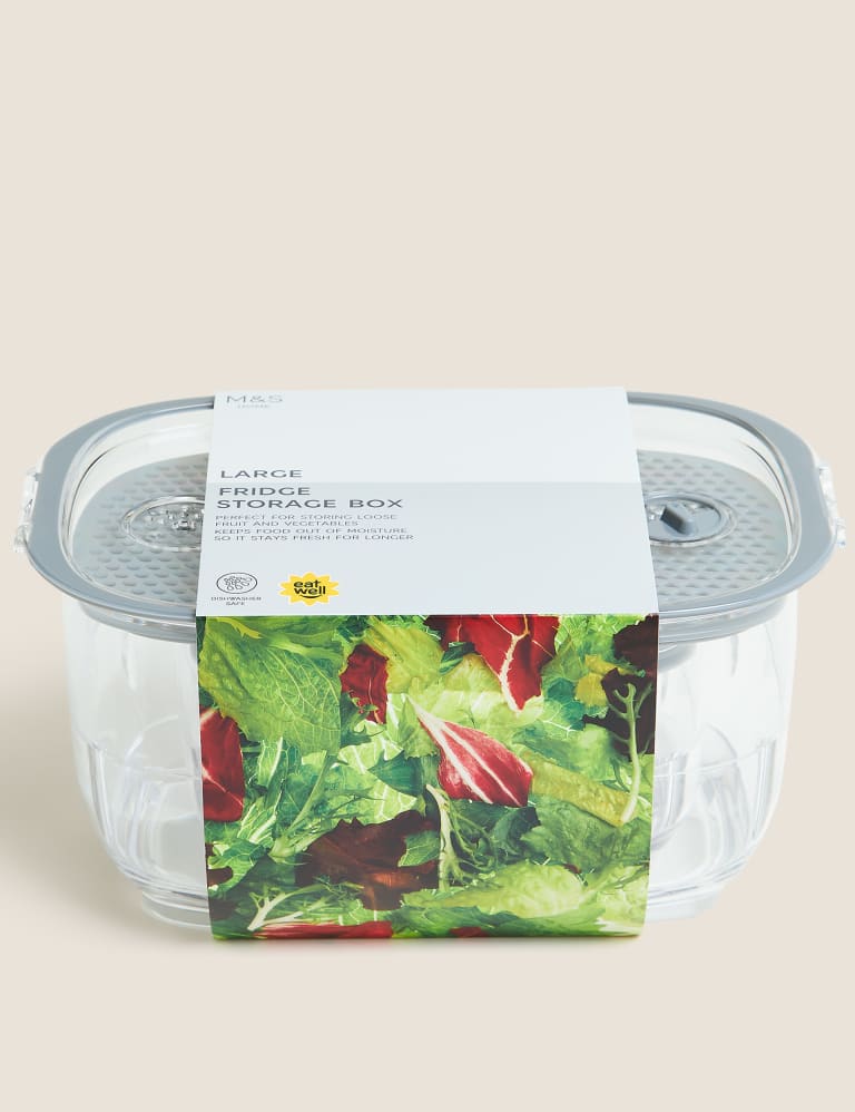 Stays fresher 2024 longer containers