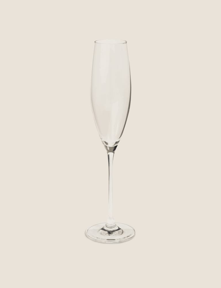 Set of 4 Champagne Flutes The Sommelier s Edit M S