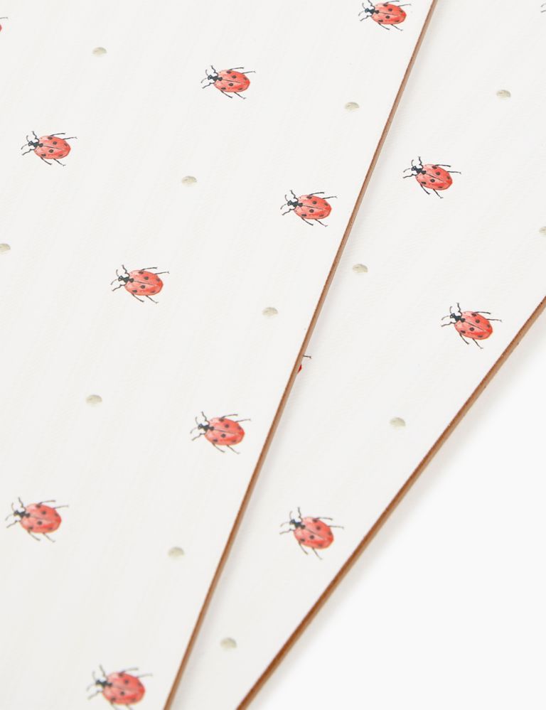Set of 4 Ladybird Print Placemats 2 of 3