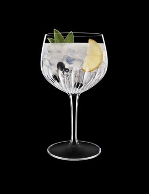 Set of 4 Mixology Spanish Gin Glasses Image 2 of 6