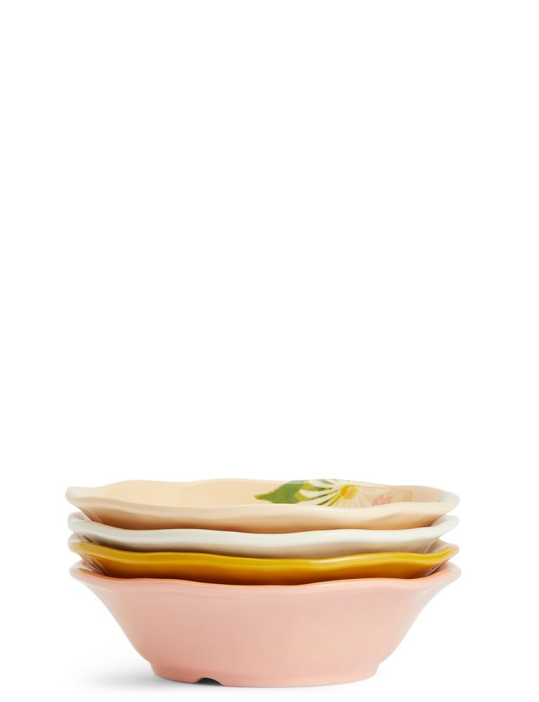 Set of 4 Sun-baked Cereal Bowls 3 of 8