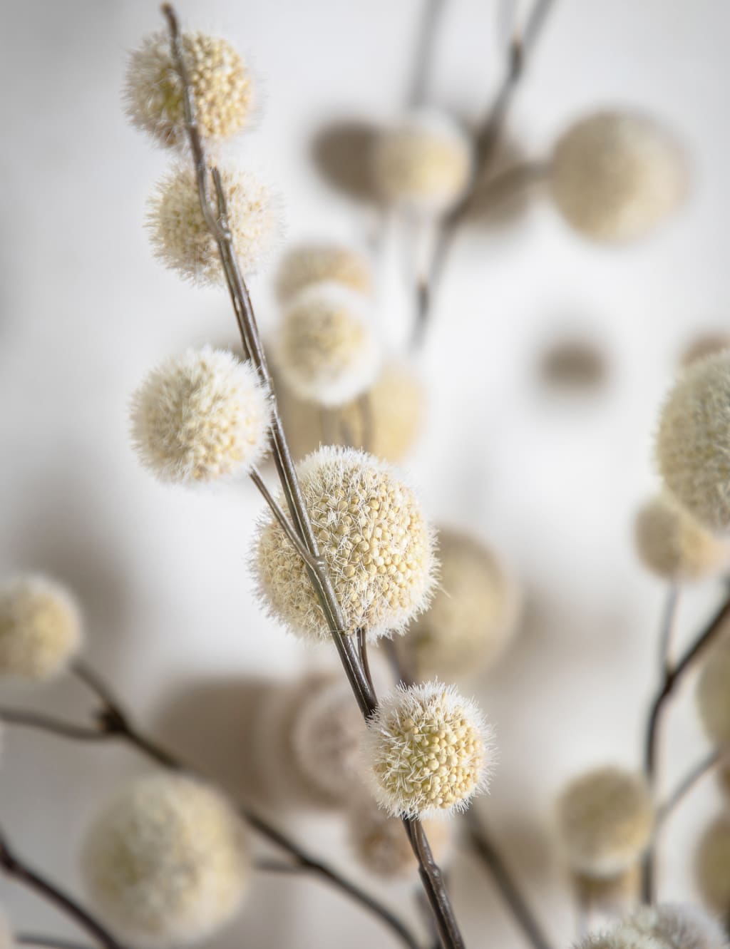Set of 6 Artificial Pom Pom Single Stems Gallery Home M S