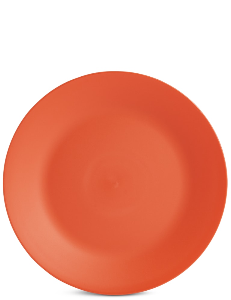 Set of 6 Picnic Plates M&S