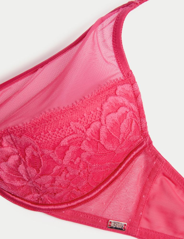 Sheer and Lace Beau Wired Plunge Bra (A-E) 6 of 7