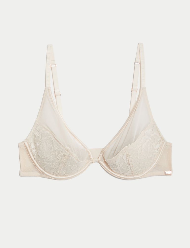 Sheer and Lace Beau Wired Plunge Bra (A-E) 2 of 7