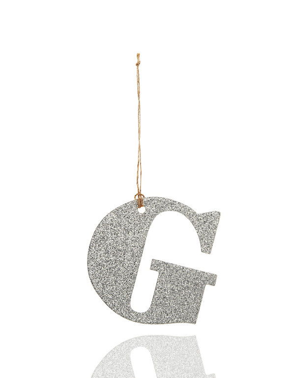 Silver Glitter G Letter Image 1 of 1