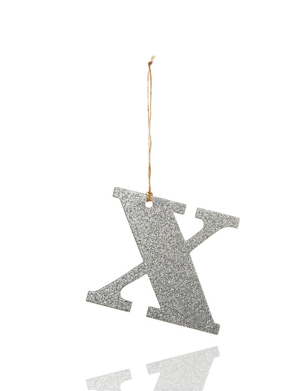 Silver Glitter X Letter Image 1 of 1