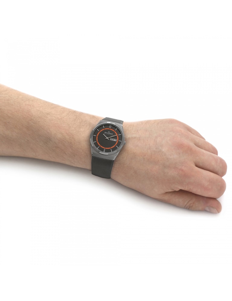 Skagen wristbands sales