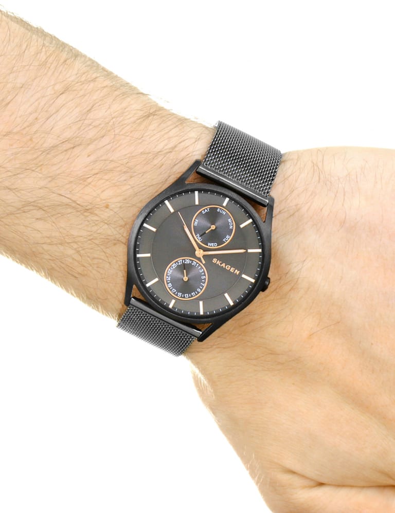 Skagen holst hot sale watch