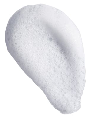 burt's bee gentle foaming cleanser