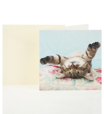 Sleeping Cat Blank Greetings Card Image 1 of 1