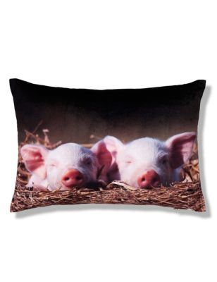 Sleeping Piglets Cushion Image 1 of 1