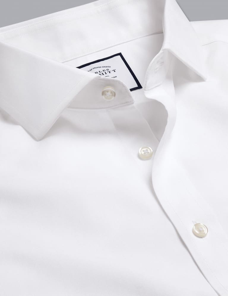 Charles dress shirts clearance
