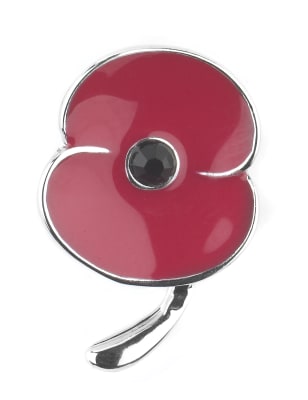 Royal British Legion 2023 Poppy Lapel Pin - £5 : : Fashion