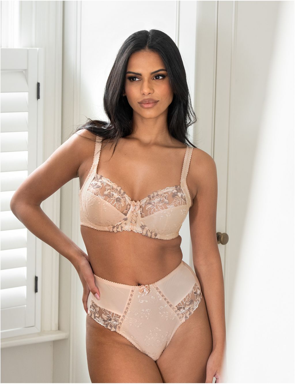 Sofia Lace Embroidered Full Briefs 4 of 6