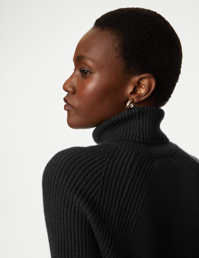 Marks and spencer roll neck sales