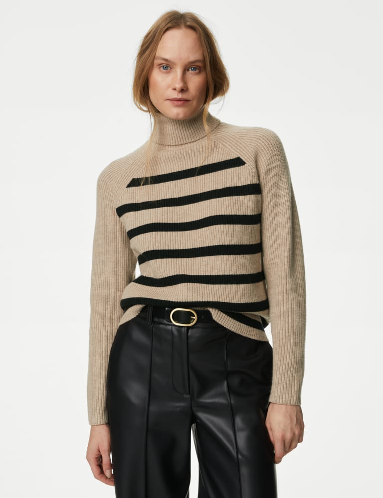 Ladies polo neck best sale jumpers m&s