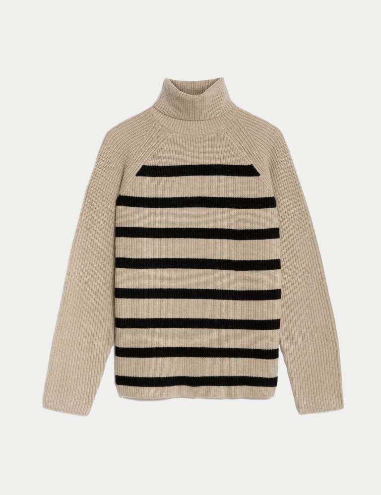 Soft Touch Striped Roll Neck Jumper