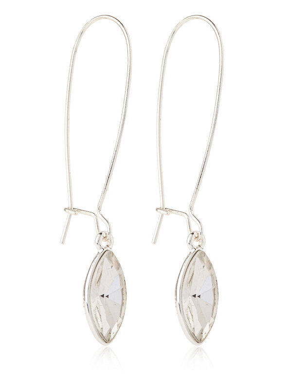Sparkle Stone Silver Plated Drop Earrings Image 1 of 1