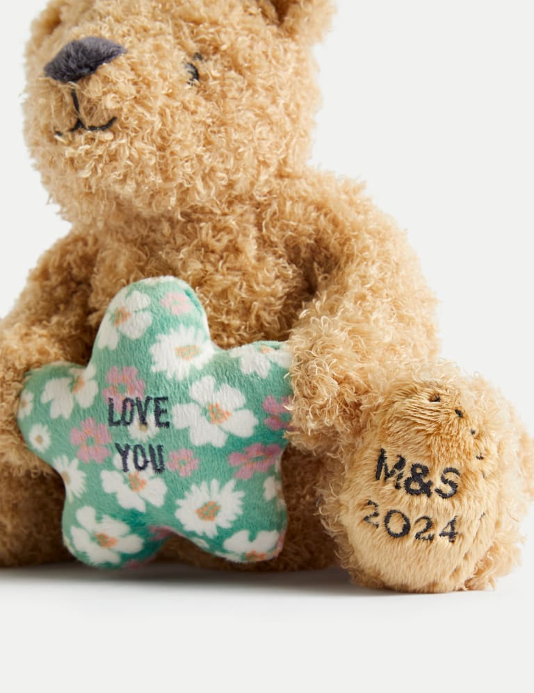 Marks and spencer teddy sales