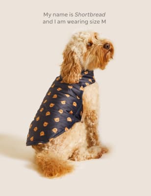 New York Yankees Dog Jacket - Hype Pups, Pet Boutique