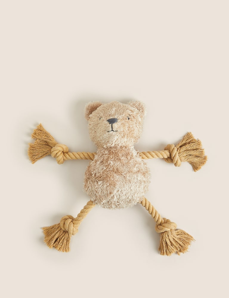 Rope teddy bear dog toy top