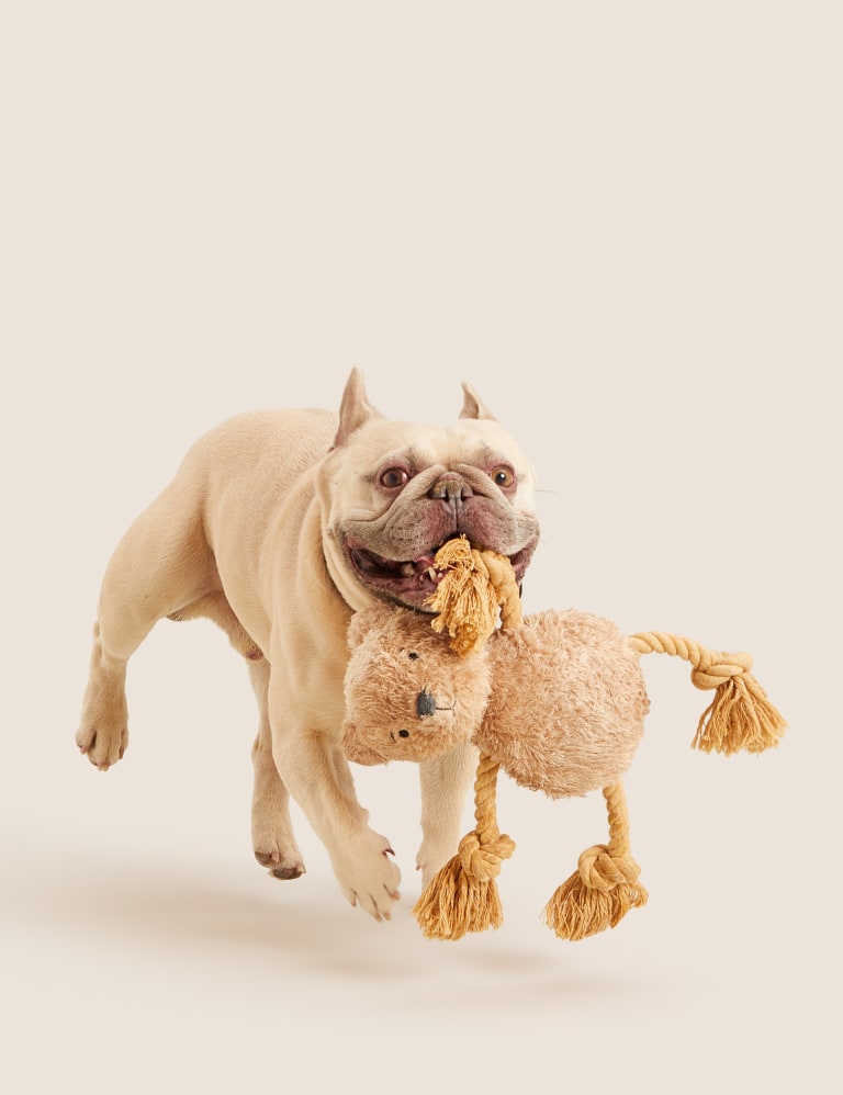 Marks and spencer dog toy cheap