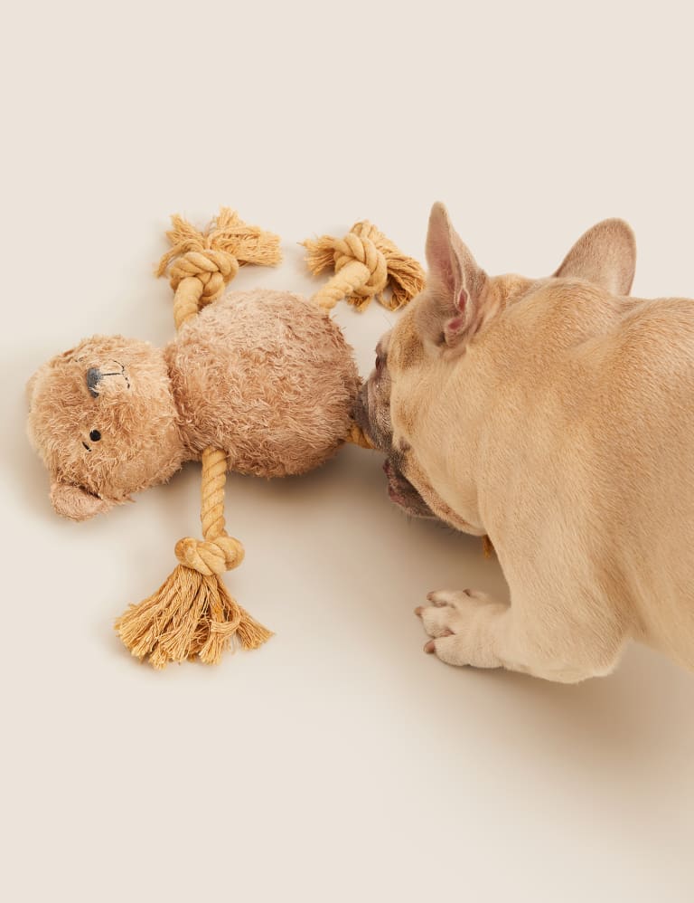 Spencer Bear Rope Pet Toy Spencer Bear M S