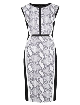 Snakeskin best sale shift dress