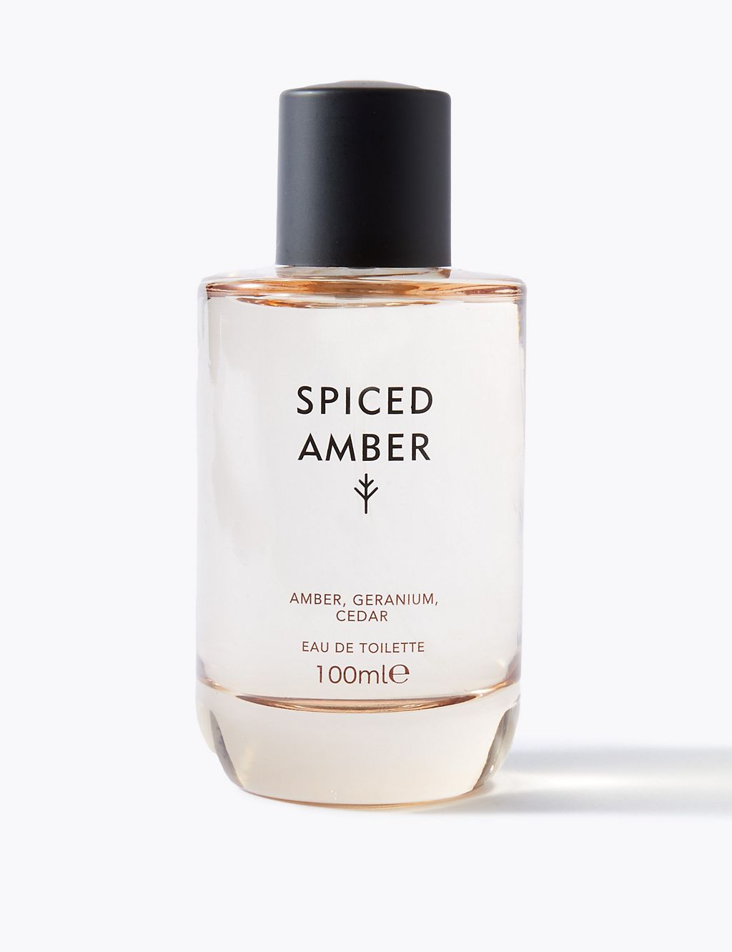 Spiced Amber Eau De Toilette 100ml 4 of 7