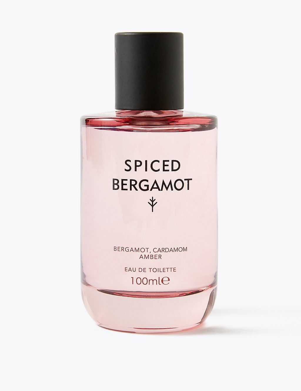 Spiced Bergamot Eau de Toilette 100ml 8 of 9