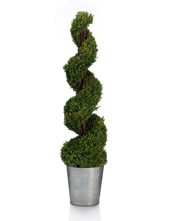 Spiral Topiary Image 1 of 2