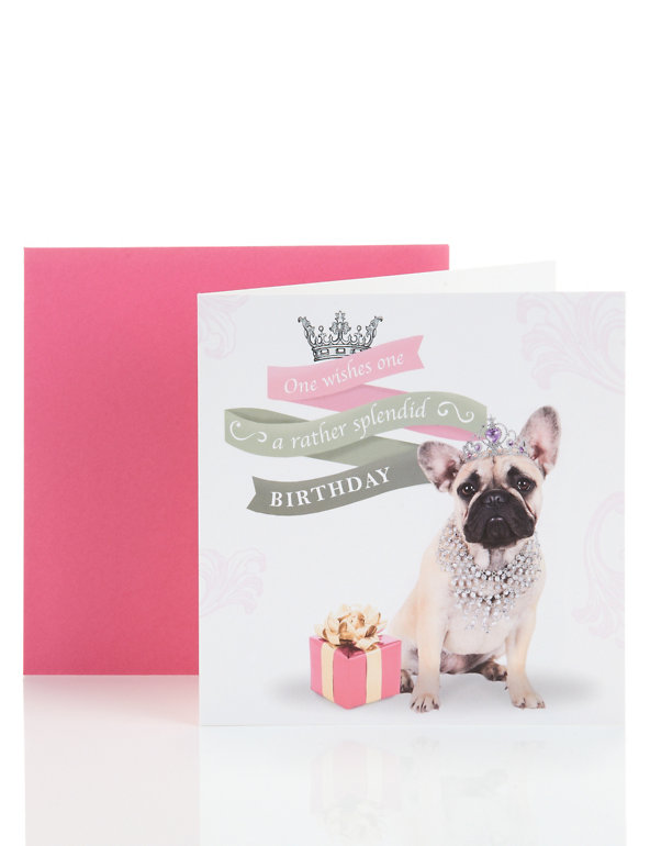 Splendid Birthday Dog Card Image 1 of 2